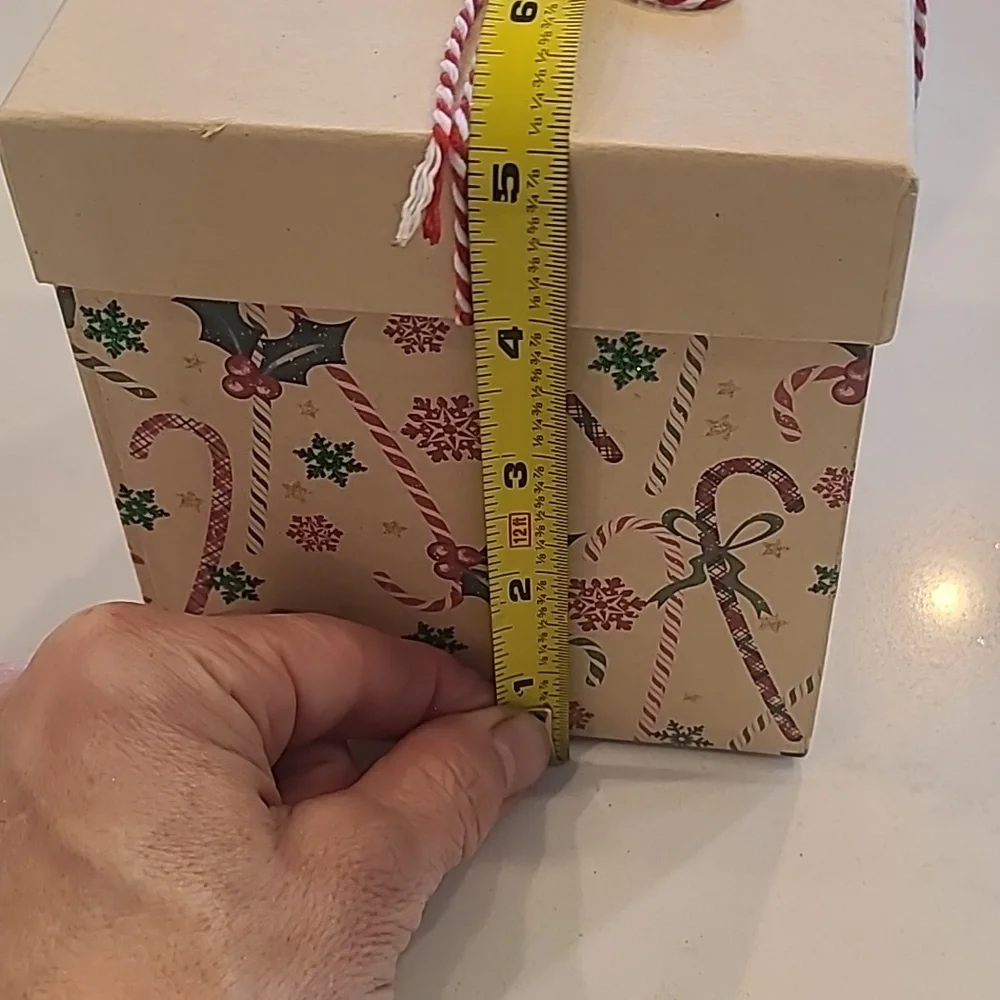 New Christmas Holiday Box